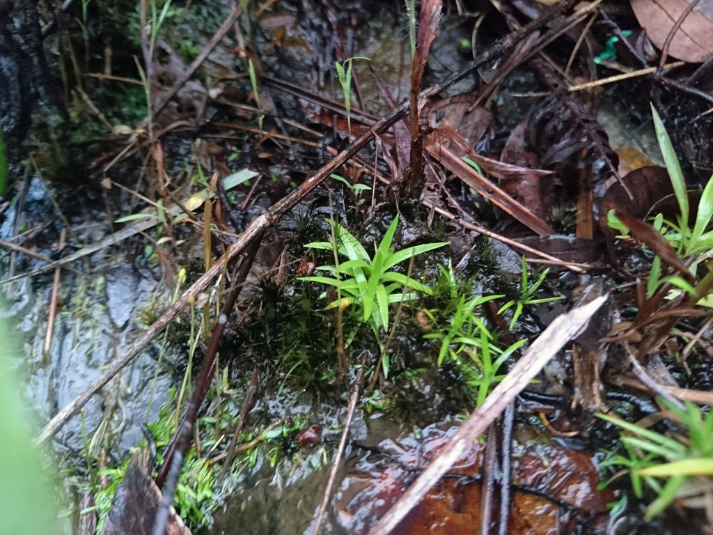 DSC_0465.JPG