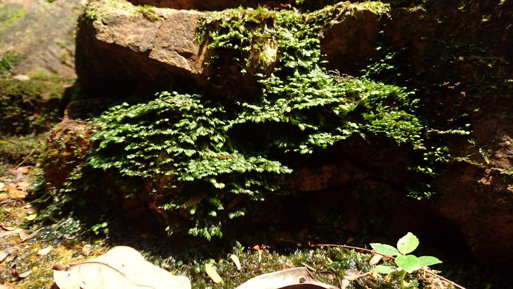 DSC_0662.JPG