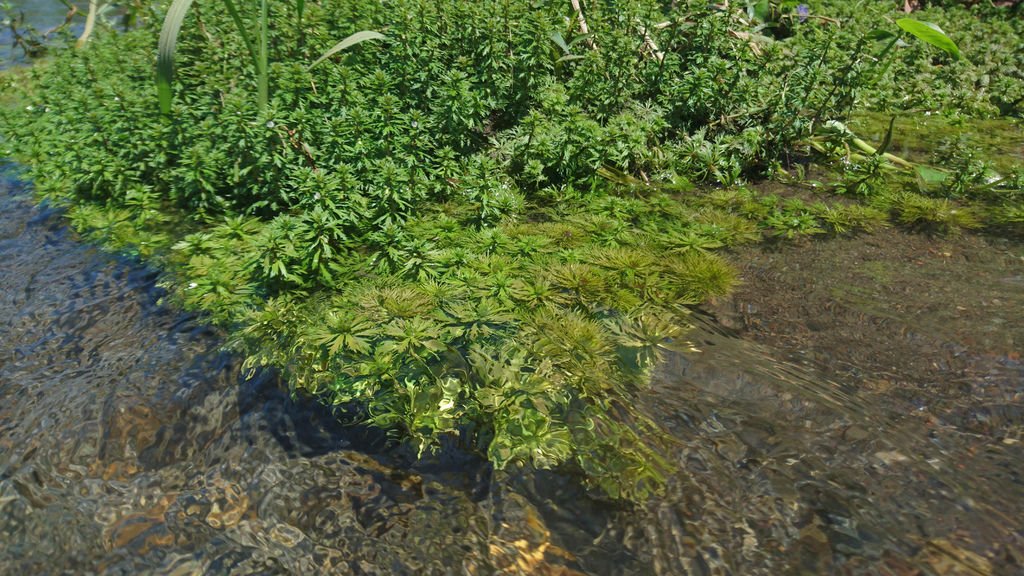 DSC_1719.JPG