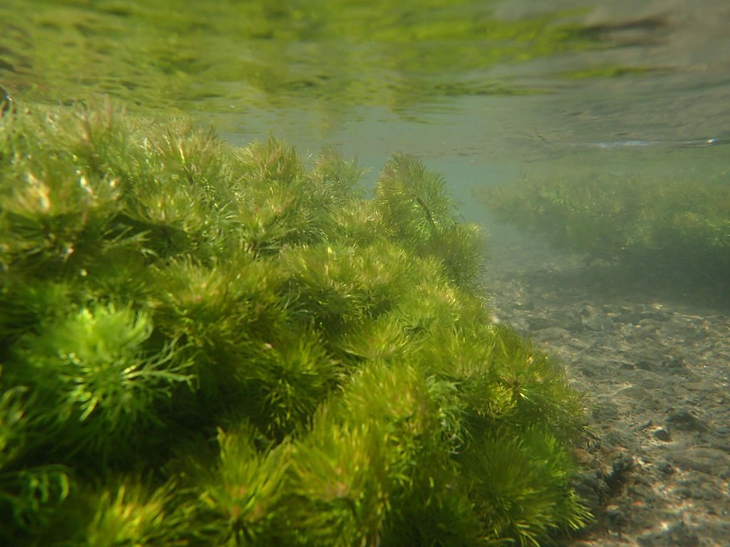 PA020102.JPG