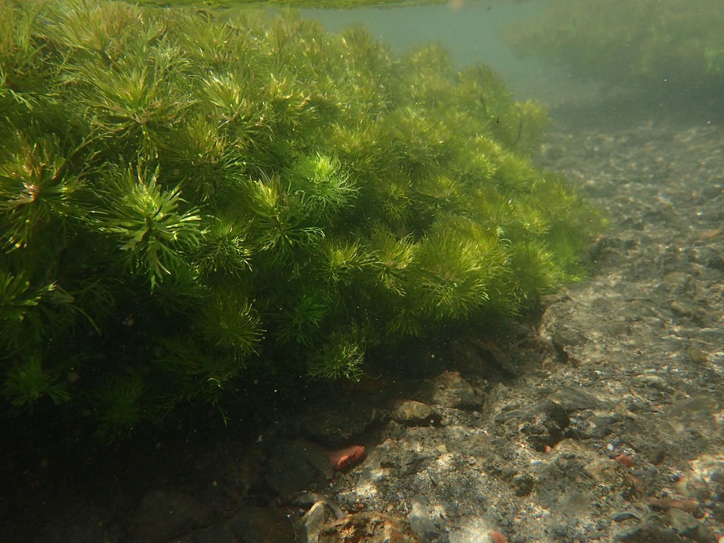 PA020105.JPG