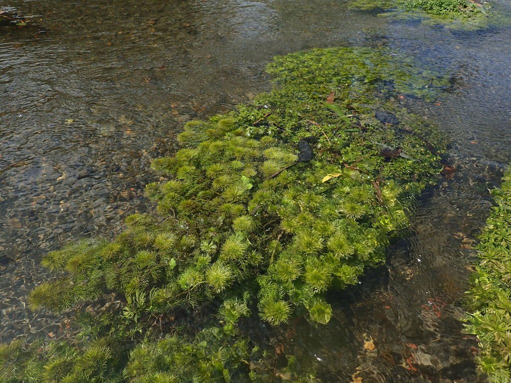 PA020109.JPG