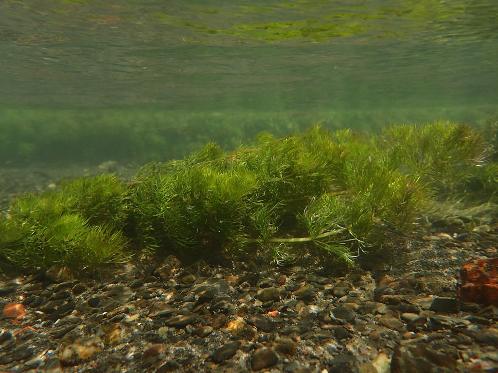 PA020131.JPG