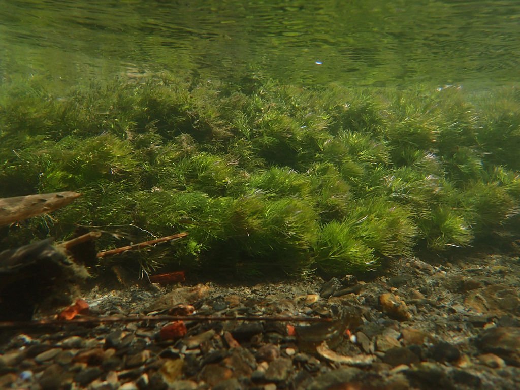 PA020132.JPG