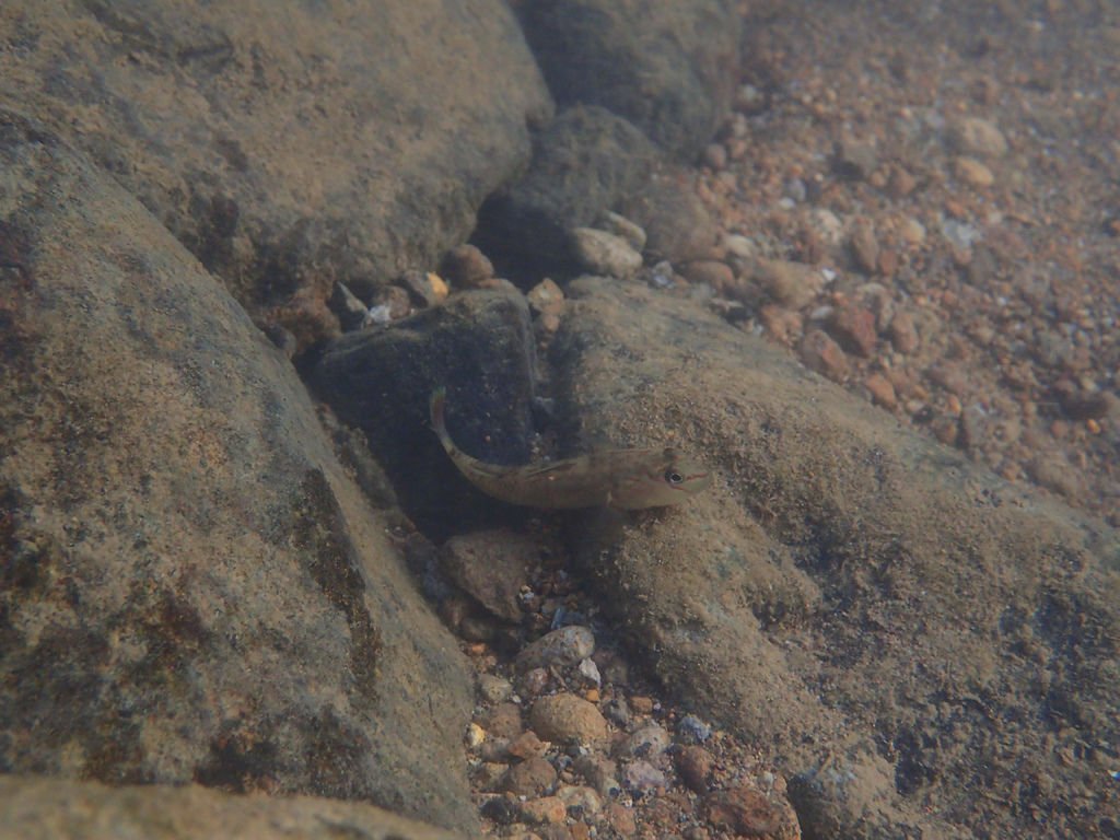 PB191302.JPG
