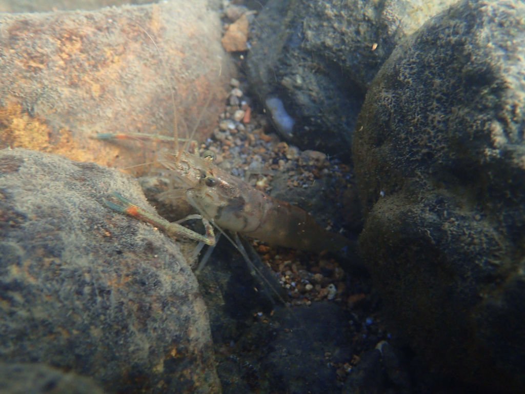 PB191318.JPG