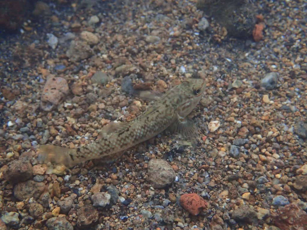 PB191336.JPG