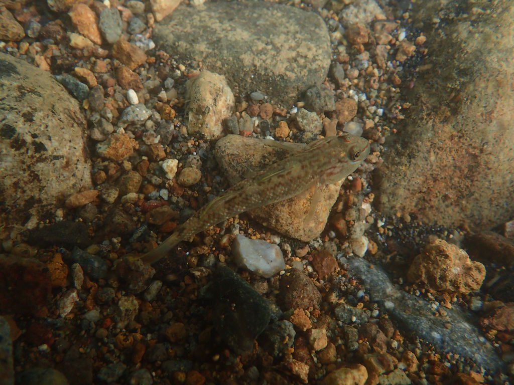 PB191321.JPG