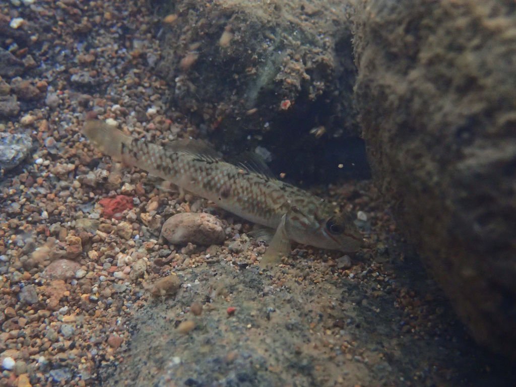 PB191339.JPG