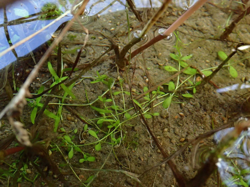PC172189.JPG