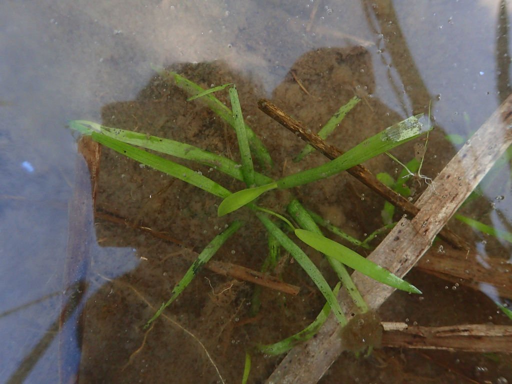 PC172199.JPG