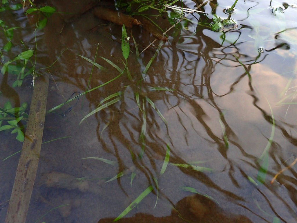 PC172211.JPG