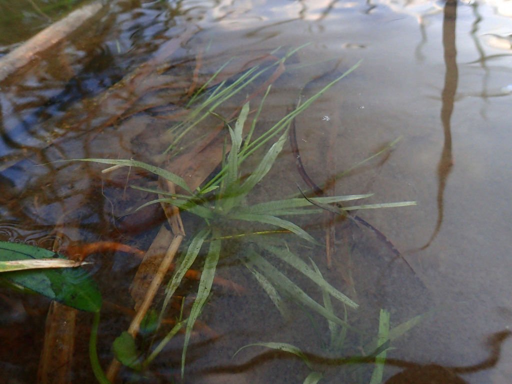 PC172207.JPG