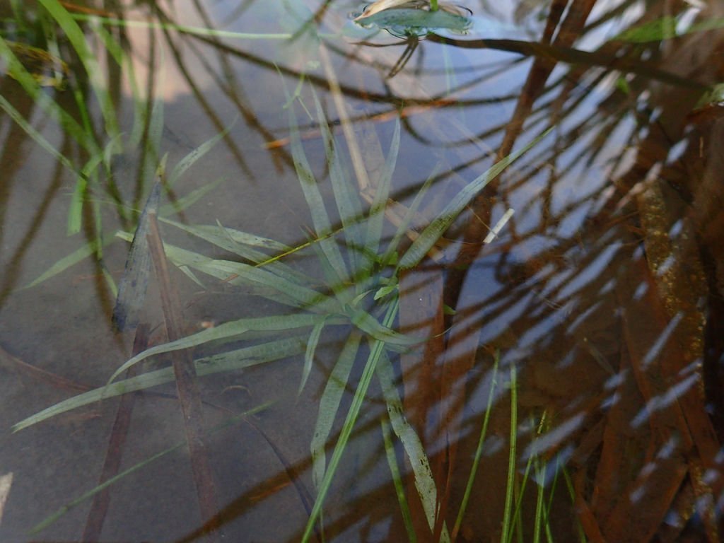 PC172223.JPG