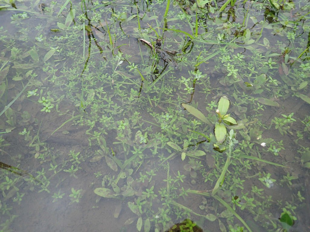 PC313389.JPG