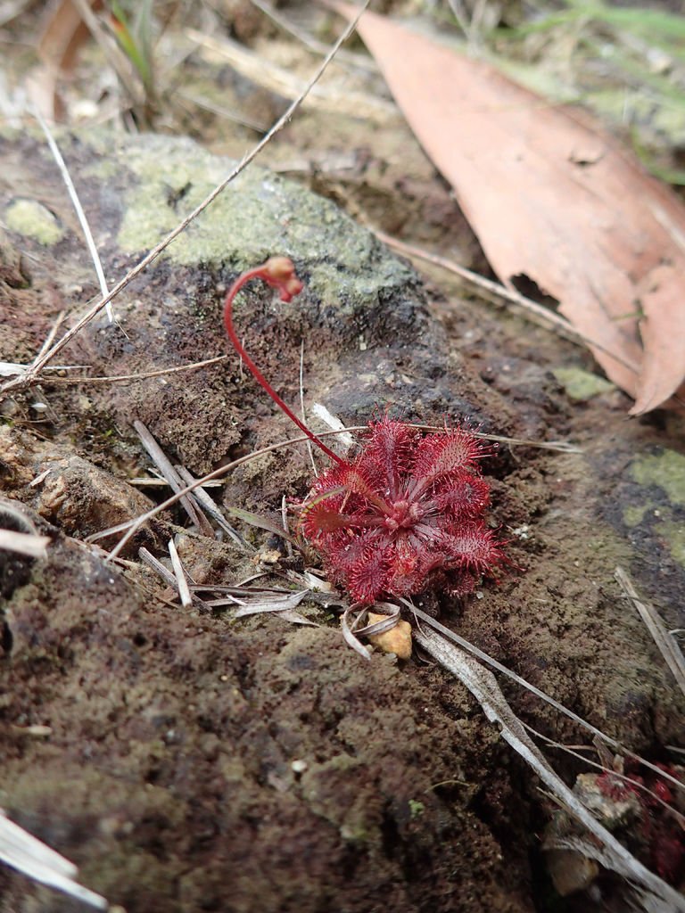 P1315151.JPG