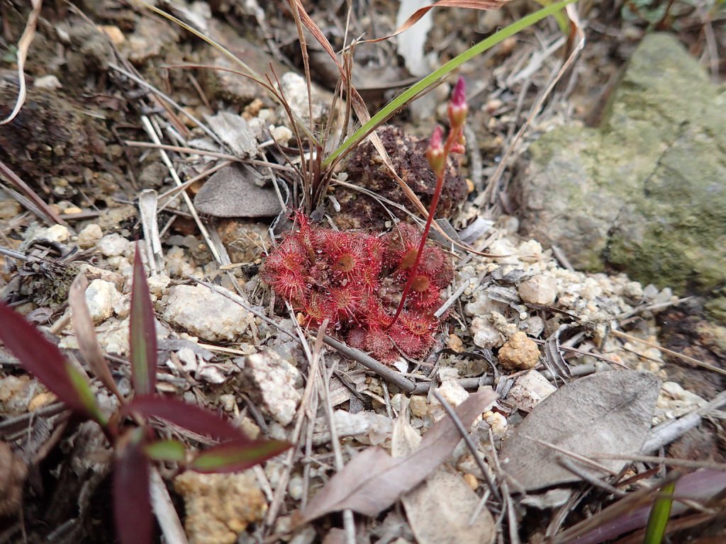 P1315153.JPG