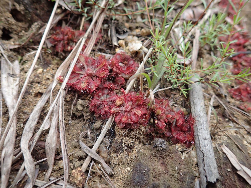 P1315145.JPG