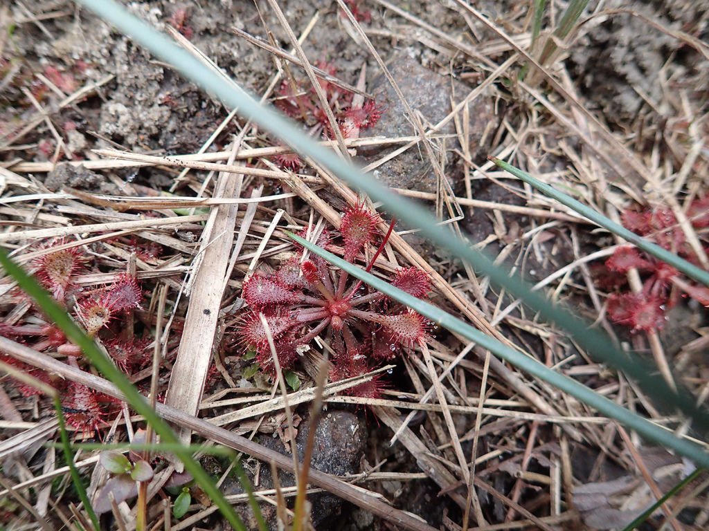 P1315171.JPG