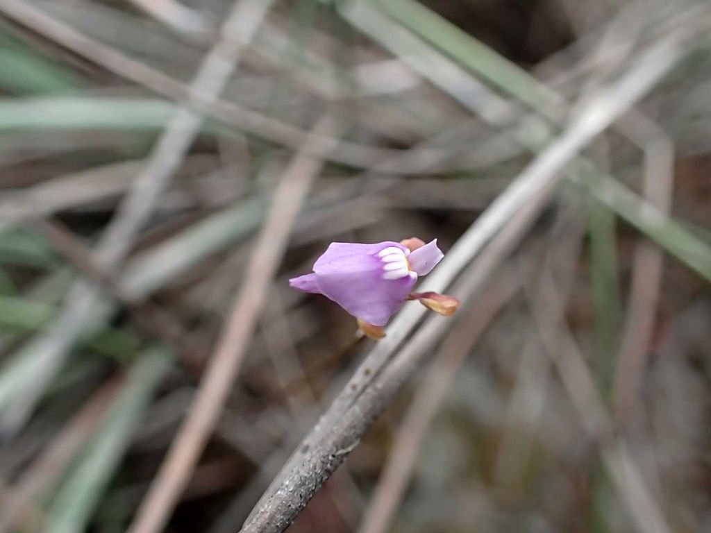 P1315253.JPG