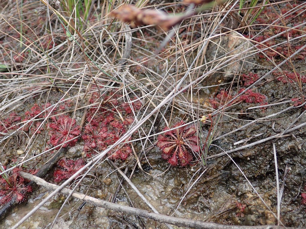 P1315220.JPG