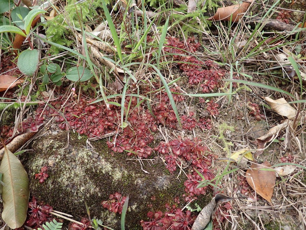 P1315672.JPG