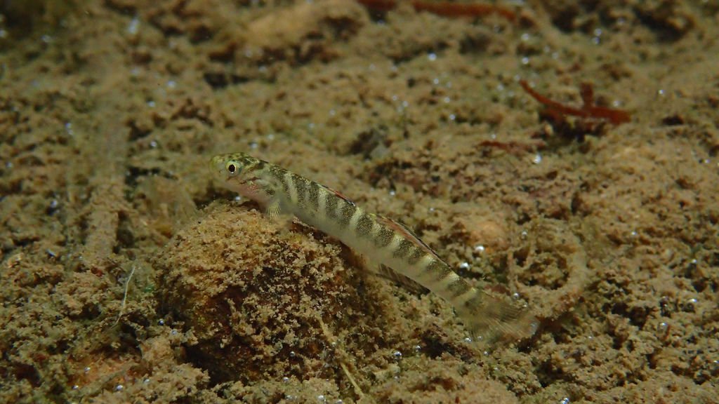 P4207946.JPG