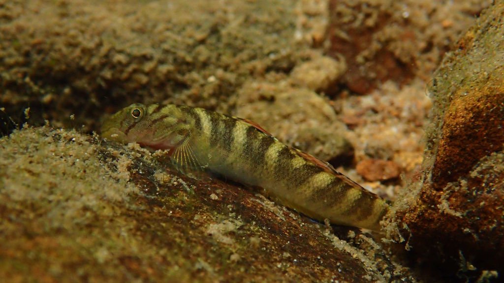 P4208011.JPG