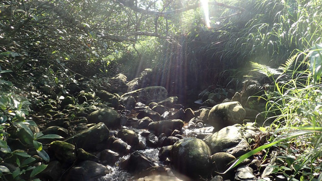 P4208084.JPG