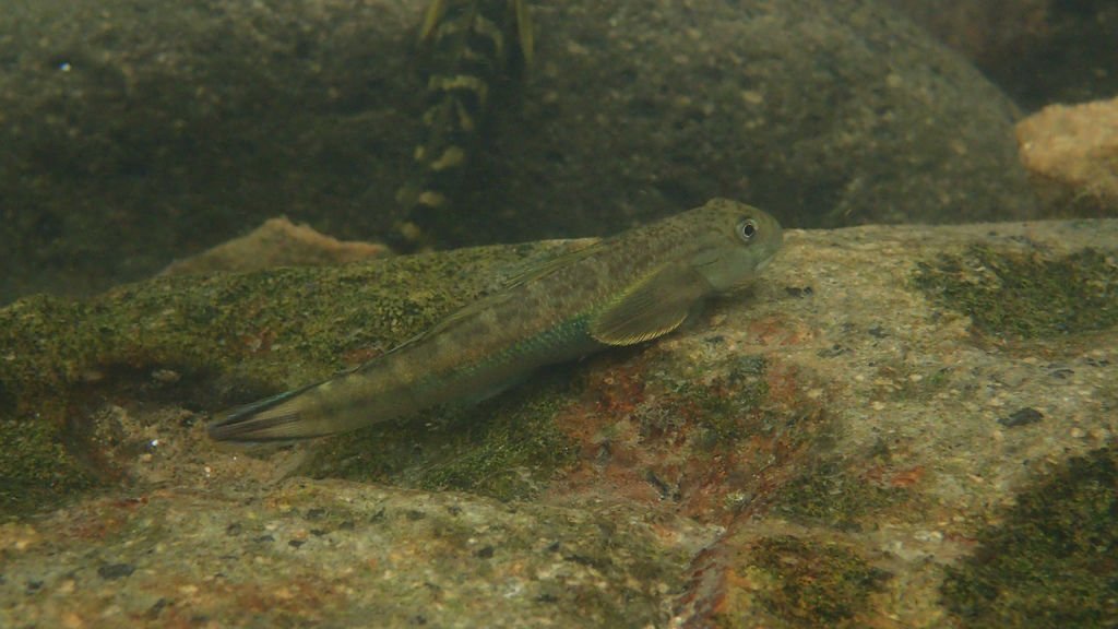 P4230514.JPG