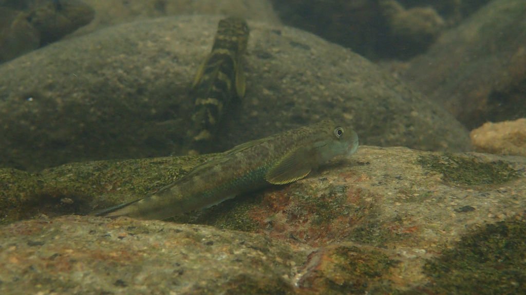 P4230516.JPG
