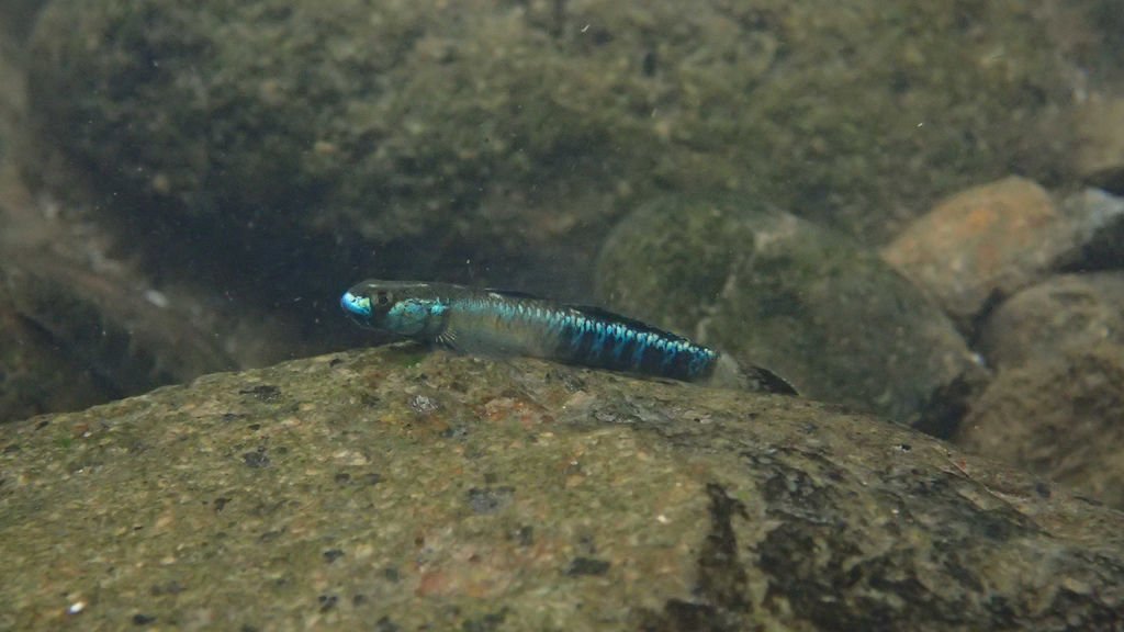 P4230542.JPG