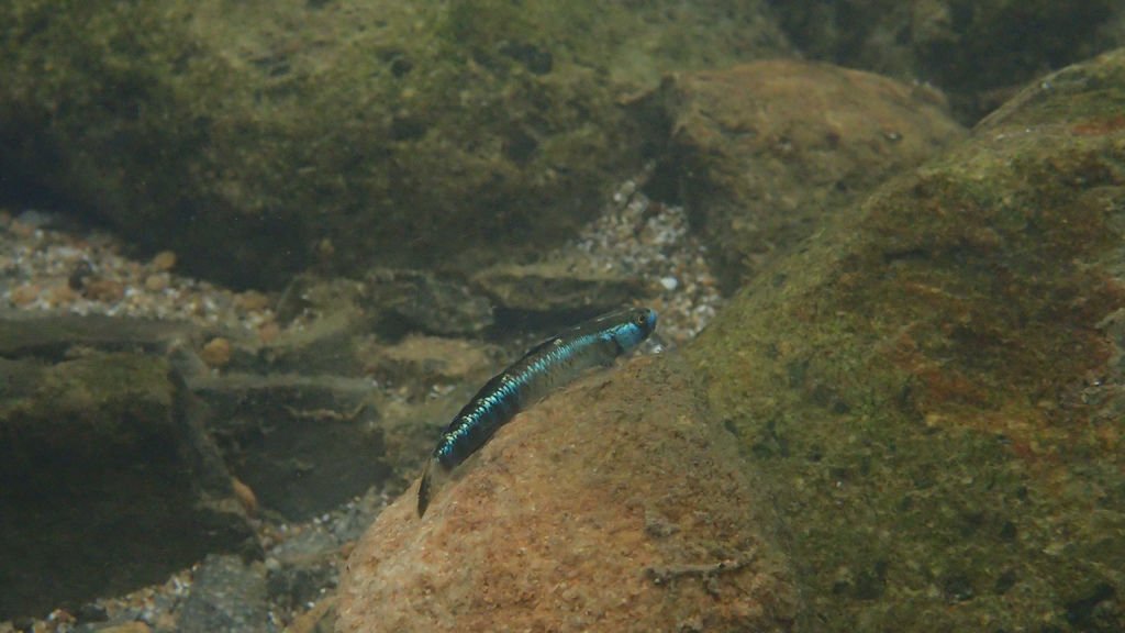 P4230543.JPG