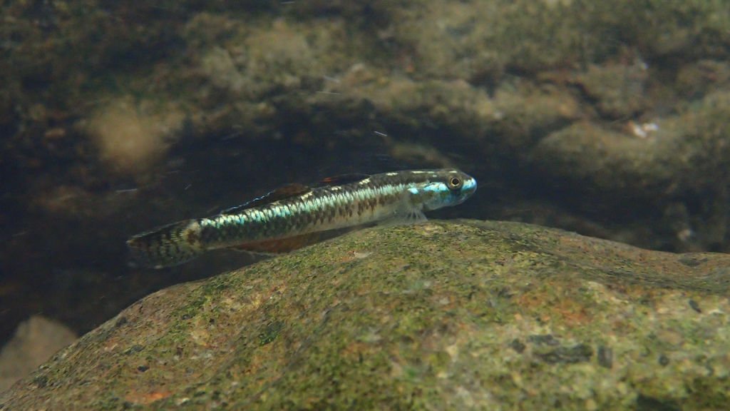 P4230549.JPG