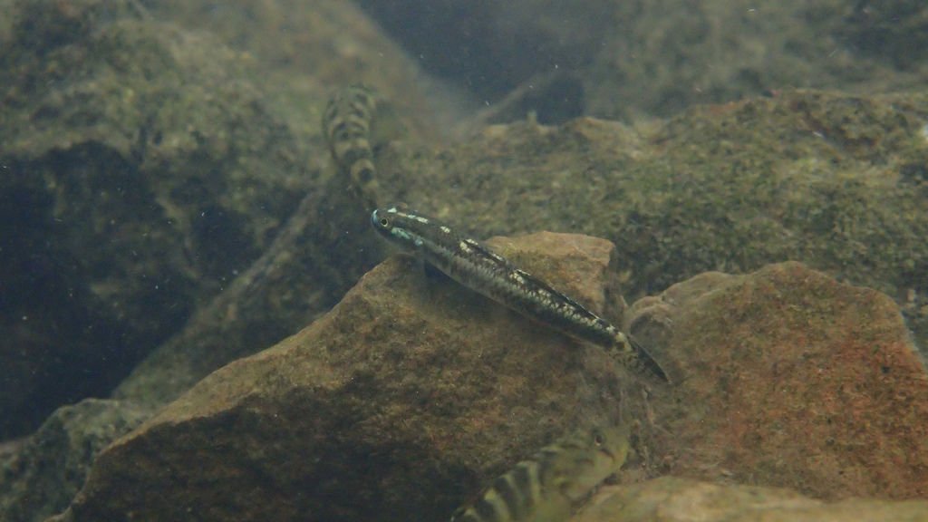 P4230545.JPG