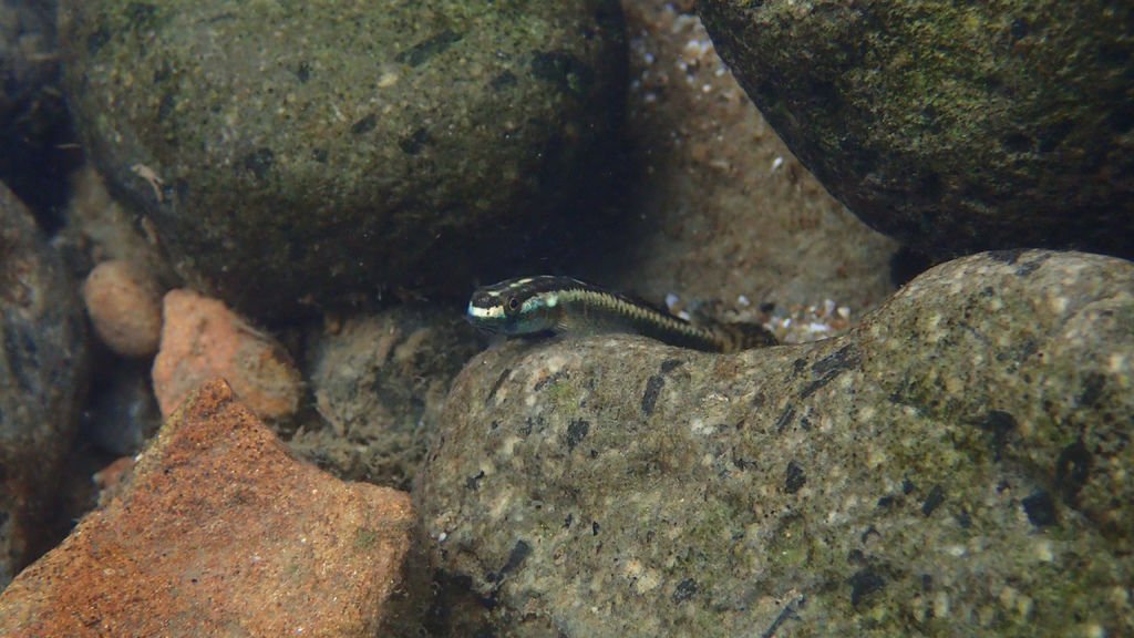 P4230548.JPG