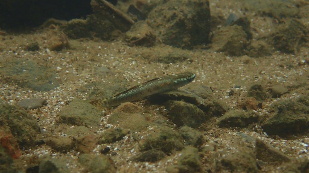 P4230558.JPG