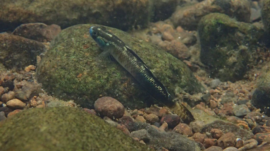 P4230583.JPG
