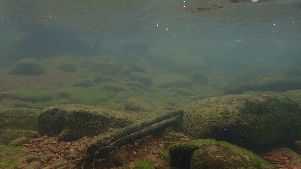 P5258418.JPG