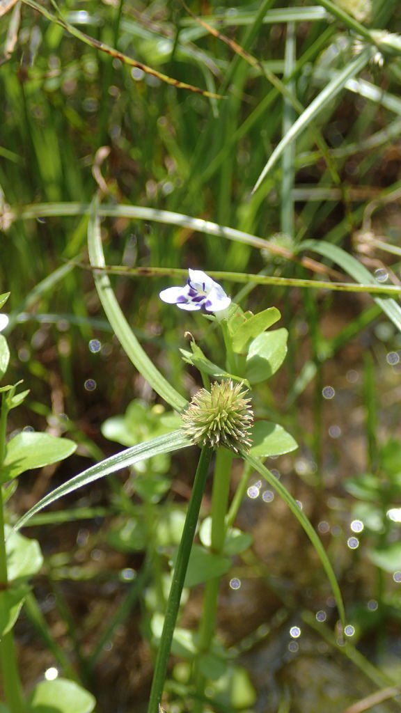 P7100040.JPG