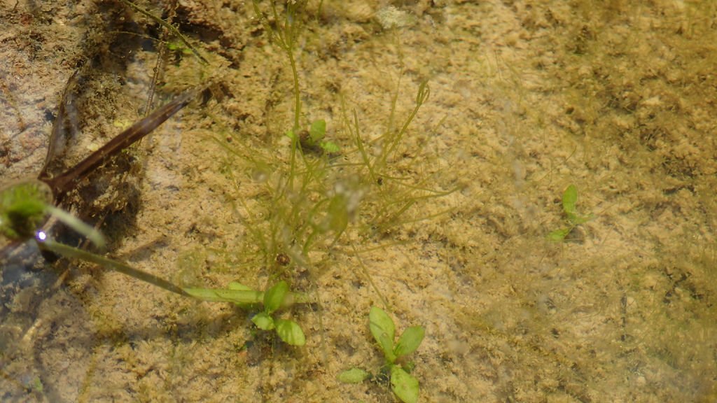 P7100041.JPG