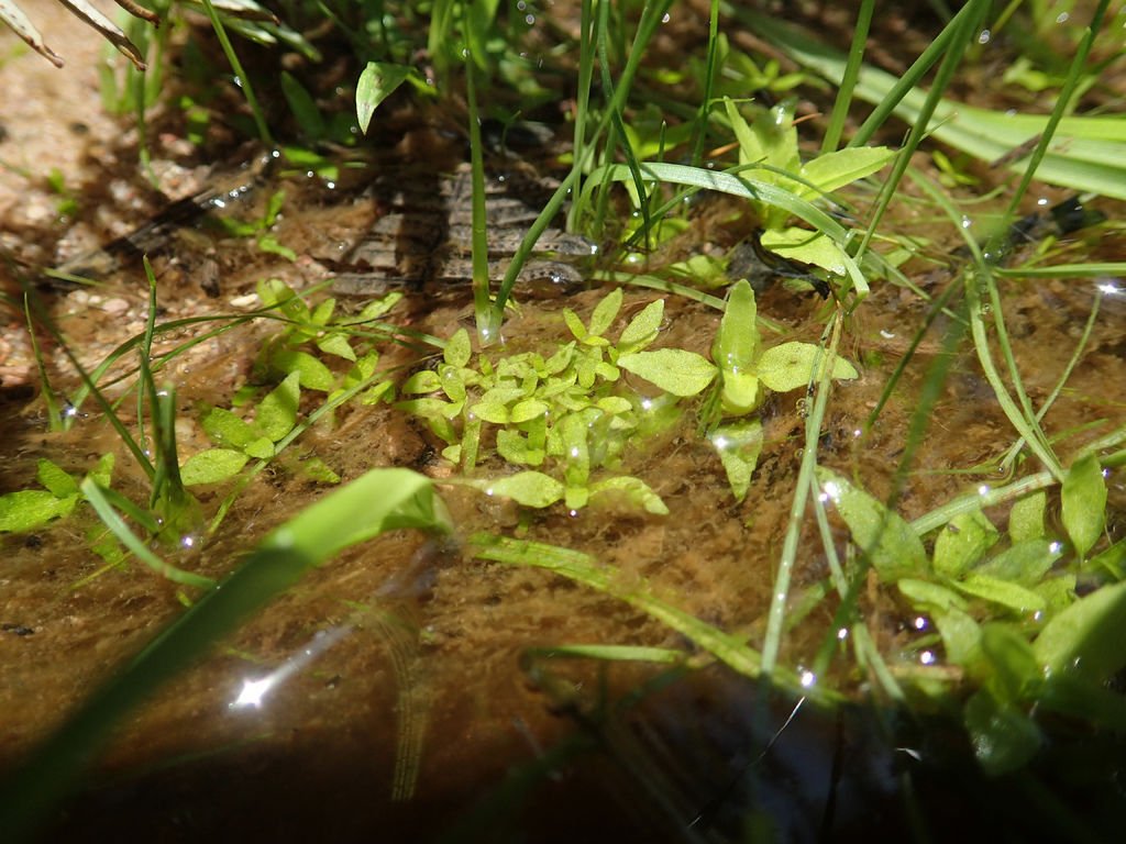 P7100119.JPG