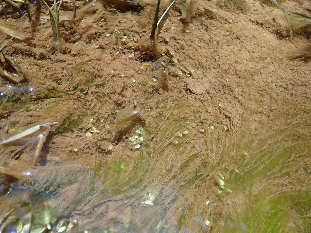 P7100114.JPG
