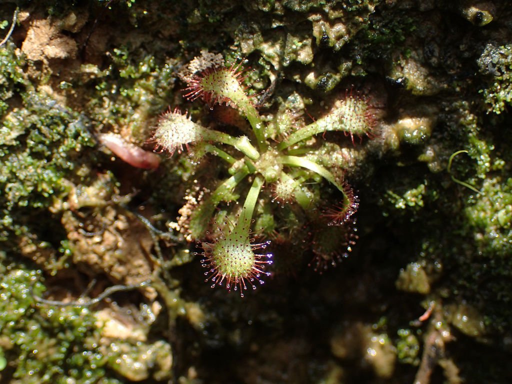 P7100130.JPG