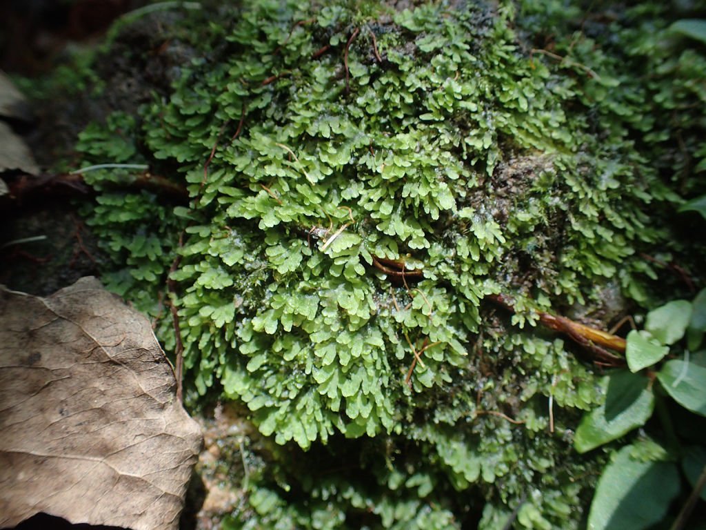 P7100139.JPG
