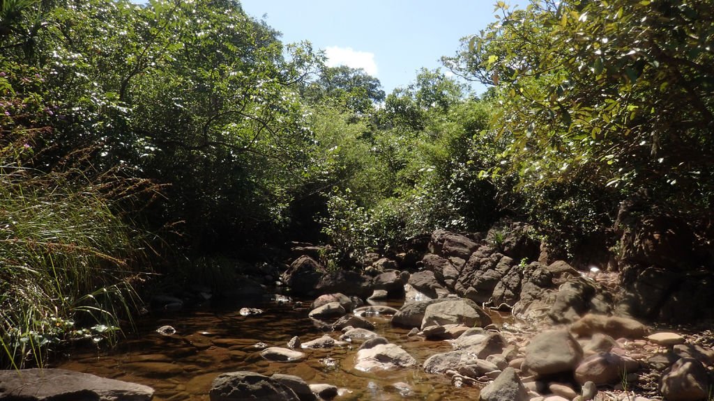 P7130620.JPG