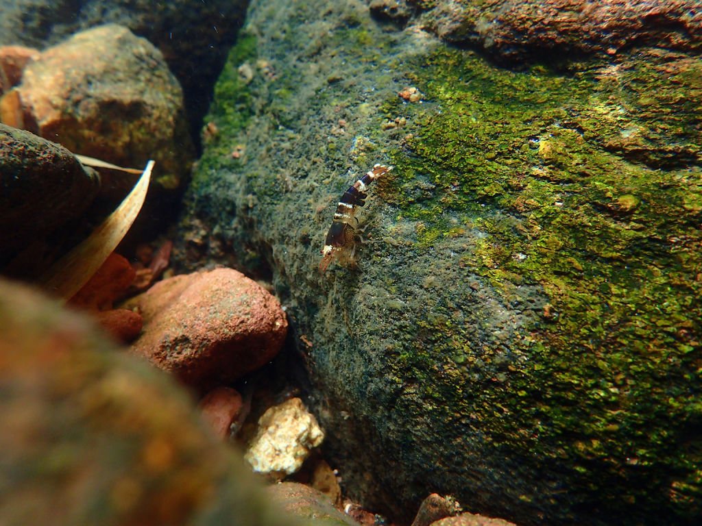 P7130774.JPG