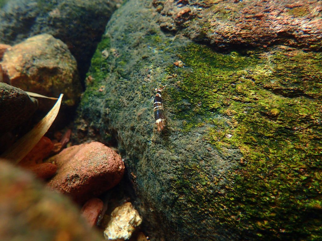P7130775.JPG