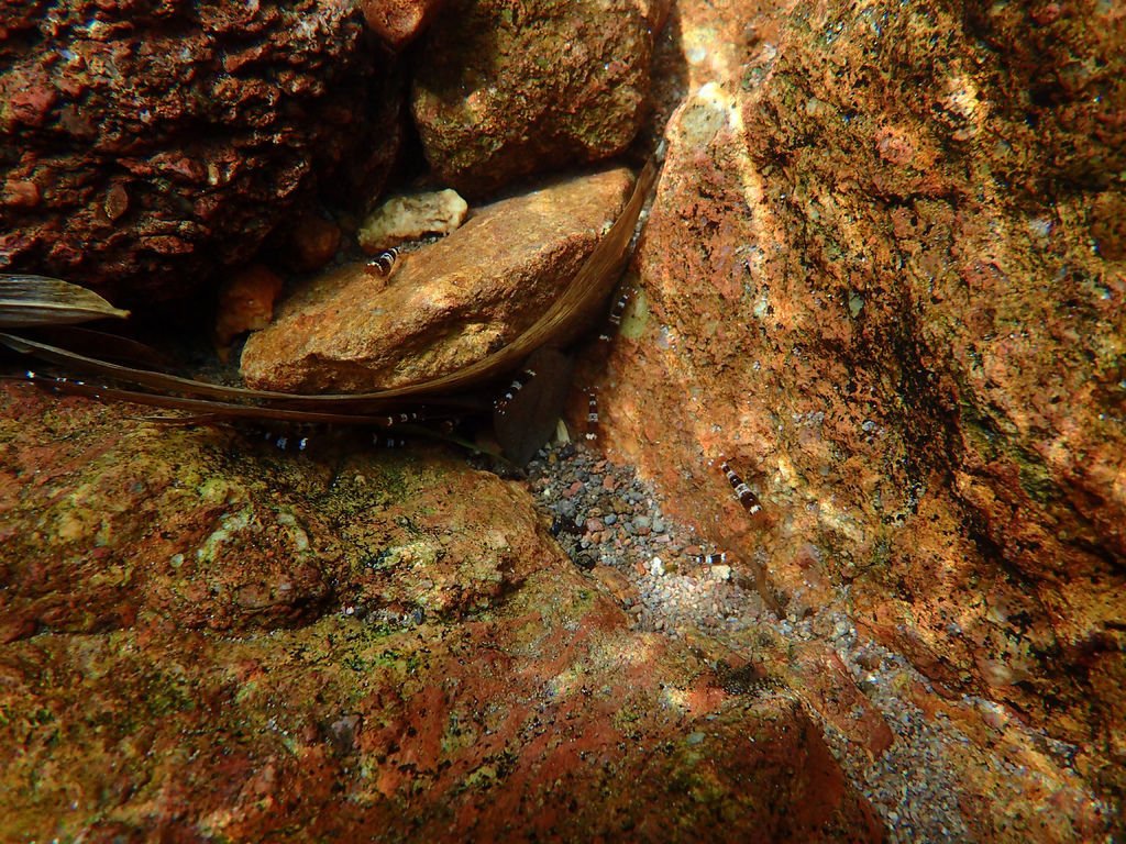 P7130784.JPG
