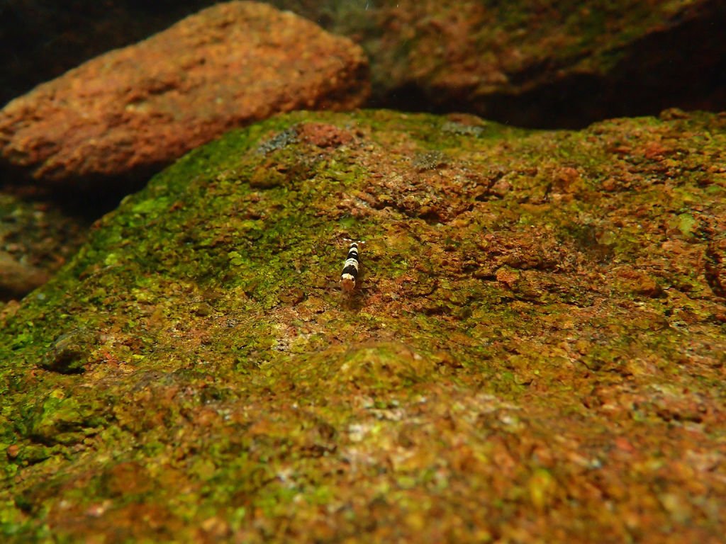 P7130838.JPG
